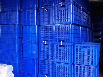 Sóng nhựa 3T9 dùng chở hàng, nhiều màu cho khách lựa chọn 0