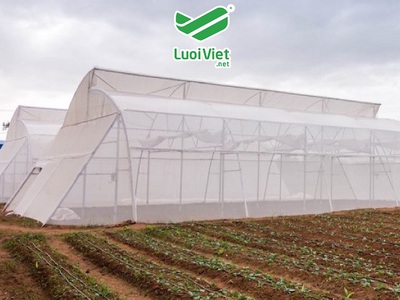 Lưới HDPE - giải pháp bảo vệ cây trông 1