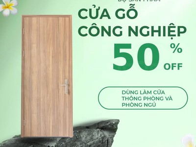 Cửa gỗ công nghiệp 2