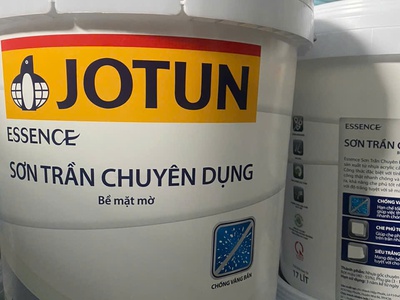 Giải pháp sơn tối ưu cho trần nhà của bạn 0