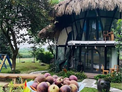 Tổ hợp nghỉ dưỡng cao cấp soca villa   ba vì 3