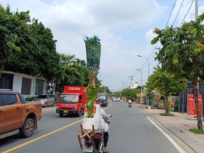 Cần bán gấp đất trường thọ thủ đức   5x10m, hẻm xe hơi   gần metro bến thành   suối tiên - chỉ 5 tỷ 2
