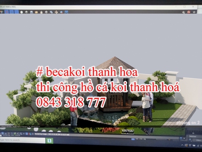 Koi xứ thanh, bể cá koii đẹp Thanh hoá, thiết kế cafe koi thanh hoá. 2