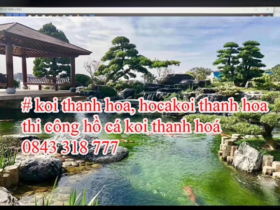 Koi xứ thanh, bể cá koii đẹp Thanh hoá, thiết kế cafe koi thanh hoá. 6