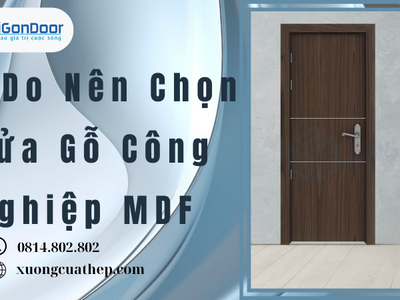 Lý Do Nên Chọn Cửa Gỗ Công Nghiệp MDF 0