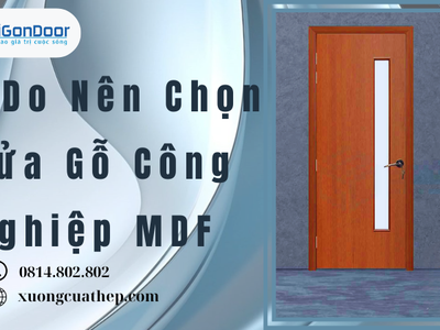 Lý Do Nên Chọn Cửa Gỗ Công Nghiệp MDF 2