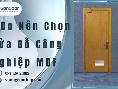 Lý Do Nên Chọn Cửa Gỗ Công Nghiệp MDF 3