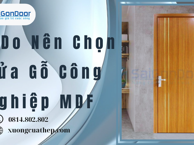 Lý Do Nên Chọn Cửa Gỗ Công Nghiệp MDF 4