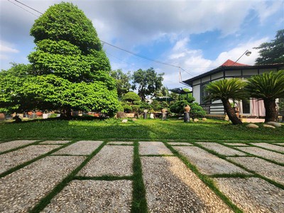 Bán nhanh  2620m2 đất lô góc nguyễn thị đành hóc môn chỉ 75 tỷ 3