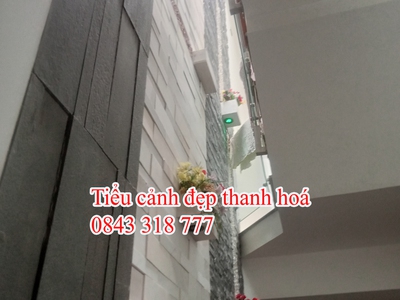 Koi xứ thanh, bể cá koii đẹp Thanh hoá, thiết kế cafe koi thanh hoá. 0