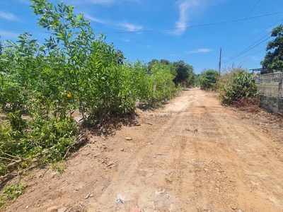Bán 2000m2 đất thổ cư hẻm lý thường kiệt, thị xã lagi giá đầu tư 4