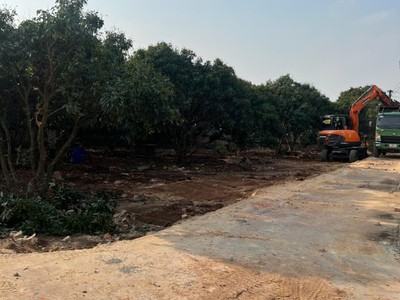 Lô góc 176m  ngay trục đường liên xã   giá siêu rẻ, sổ sẵn sang tên ngay 4