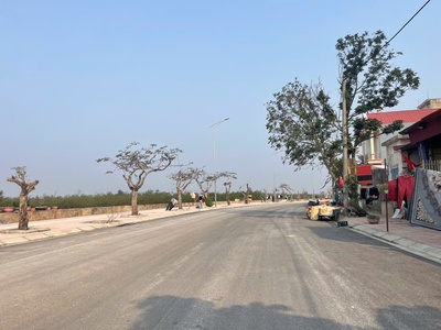 Đất 3 mặt thoáng mặt đường phía tây, Vạn Hương, Đồ Sơn, Hải Phòng 210m 4