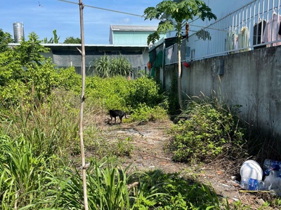 115m2 thổ cư 1/ Bàu Trâm, xã Trung An giá 1,75 tỷ 2