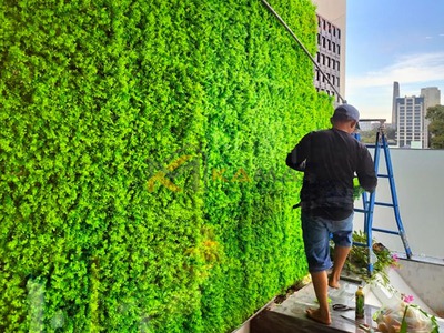 Bán cỏ nhựa treo tường trang trí giá rẻ tại TPHCM 1