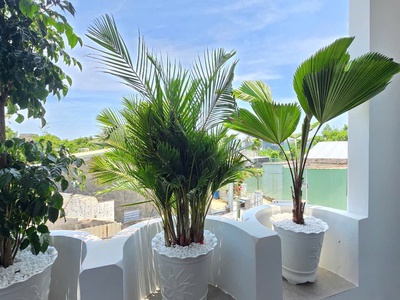 Nhà kiệ ô tô đậu trong sân - đường Tôn Đản, Đà Nẵng 16