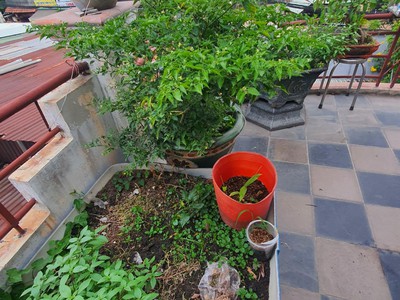Mặt tiền kinh doanh đ. số 8. vị trí víp. hiếm. linh trung. 69.6m. giá 9.7 tỷ. thương lượng. 3