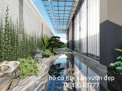 Tư vấn bê koi đẹp thanh hoá 0
