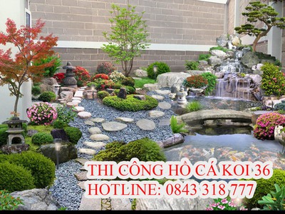 Tư vấn bê koi đẹp thanh hoá 1