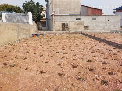 Đất thanh trí 100m2, mt6m, ô tô 7 chỗ, lô góc, 2.050 tỷ, sóc sơn. 4