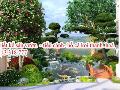 Tư vấn bê koi đẹp thanh hoá 2