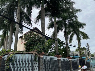Biệt thự sân vườn   nội thất gỗ cao cấp   đường 18m   23 tỷ 0