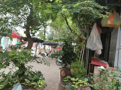 Nhà xưởng sắt hình, tôn lạnh 444m, mặt tiền 14m, 1.75 tỷ hiệp hòa, bắc giang. 2
