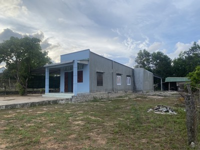 Bán nhà vườn 1600m2 tân thắng - hàm tân giá ngộp chỉ 1.6 tỷ 4
