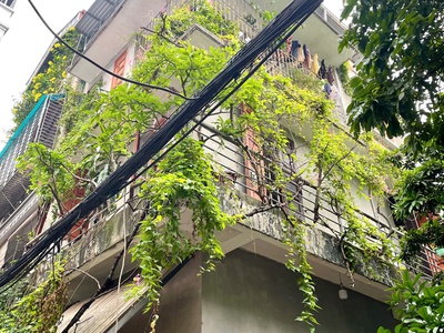 Bán nhà đất thổ cư - xây 2014 1
