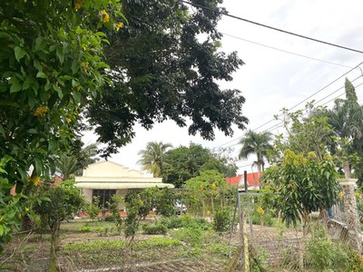 5000m2 đất góc 2 mặt tiền đường Nguyễn Thị Rành, xã Nhuận Đức giá 30 tỷ 2