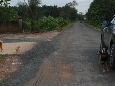 Ngộp lãi cắt lỗ sâu đất đường nhựa, tại xã Tân Đông,Tân Châu, Tây Ninh 0