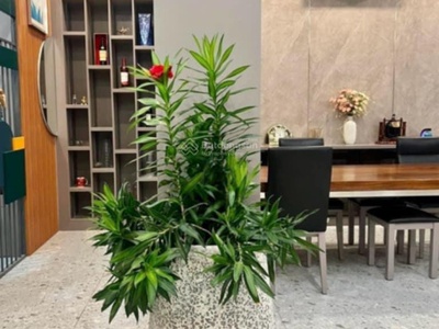 Bán biệt thự 3 tầng, mặt tiền nb bình hưng, sát tạ quang bửu, quận 8, lô góc 141 m2, 14.2 tỷ. 2