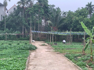 Cặp đôi hoa khôi đất xã tích lộc  tích giang    h. phúc thọ 2