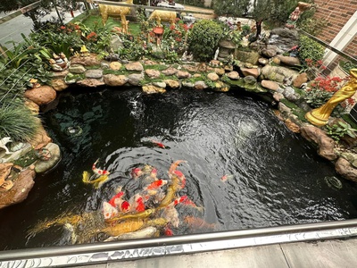 Bán biệt thự gamuda gardens đẳng cấp - 388m  - bể cá koi - nội thất cao cấp - giá 98.6 tỷ 3
