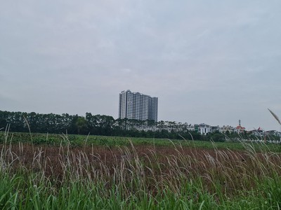 36.6m2 trục đường 25m kinh doanh tại trâu quỳ, gia lâm, hà nội. 2