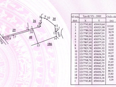 Bán gấp 1 mẫu đất trồng cây lâu năm đang ra trái   hàm liêm, bình thuận giá chỉ 2 tỷ 6 2