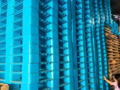   GIÁ HỦY DIỆT  Pallet nhựa cũ Sài Gòn   Thanh lý số lượng lớn từ Mai Trâm   8