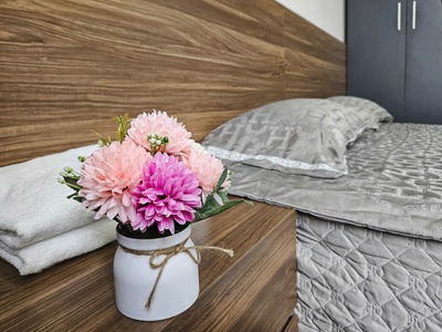 Cho thuê căn hộ 1 ngủ xịn xò giá chỉ 7tr tại Vinhomes Marina 6
