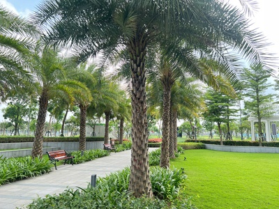 Dự án hồng hạc city phú mỹ hưng bắc ninh đã ép cọc xong 3