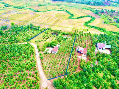 Ea bhốk- cư kuin- đắk lắk dt 6000m2 thực tế 8000m2 sẵn thổ cư 400m2 đường bê tông ô tô tới đất sẵn 2