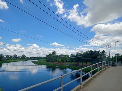 Chính Chủ Gửi Bán Gấp Lô Đất Ngay Chợ Cần Đước   Sổ Riêng 3