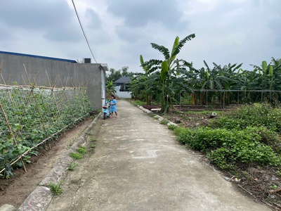 Bán lô đất 60m2 tại Kiều Hạ, Quốc Tuấn, An Dương, Hải Phòng. Giá 760 triệu 0
