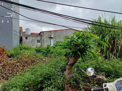 Đất trung tâm quận Đồ Sơn, Hải Sơn, Hải Phòng Giá chỉ vài trăm triệu 2