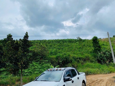 Cần bán 5000m2 đất ôm mặt tiền đường nhựa thế dương view đồi siêu đẹp. 3