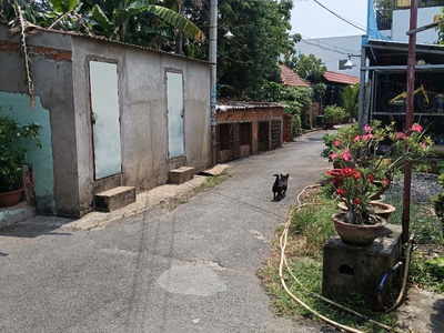 Bán nhà thị trấn Hóc Môn 5