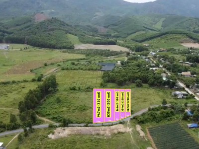 Bán gấp 3 lô đất thổ cư xã ninh tân, thị xã ninh hoà, khánh hoà 0