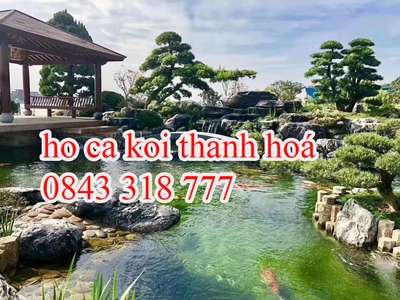 Bể cá koi Thanh Hoá 0