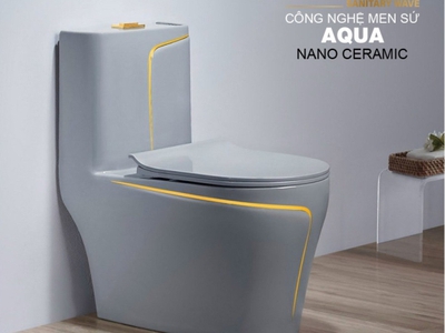 Bồn Cầu 1 Khối Màu Xám Viền Vàng CODOR BC1C106 0