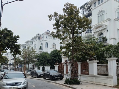 Cực hiếm, biệt thự louis city 205m2- 5t có hầm, vị trí đẹp, giá 56.5 tỷ 0