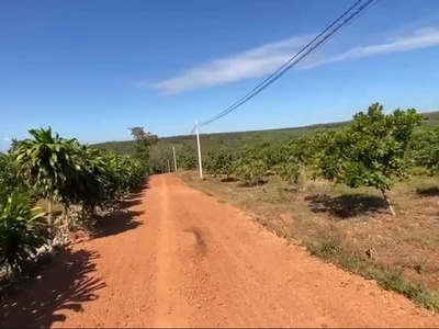 Đất mặt tiền 10.000m2 thôn tân lực, bù nho, phú riềng, bình phước, ngay kcn bù nho 2